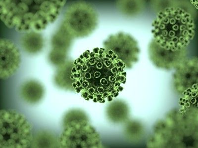 Green coronaviruses - circuit breaker