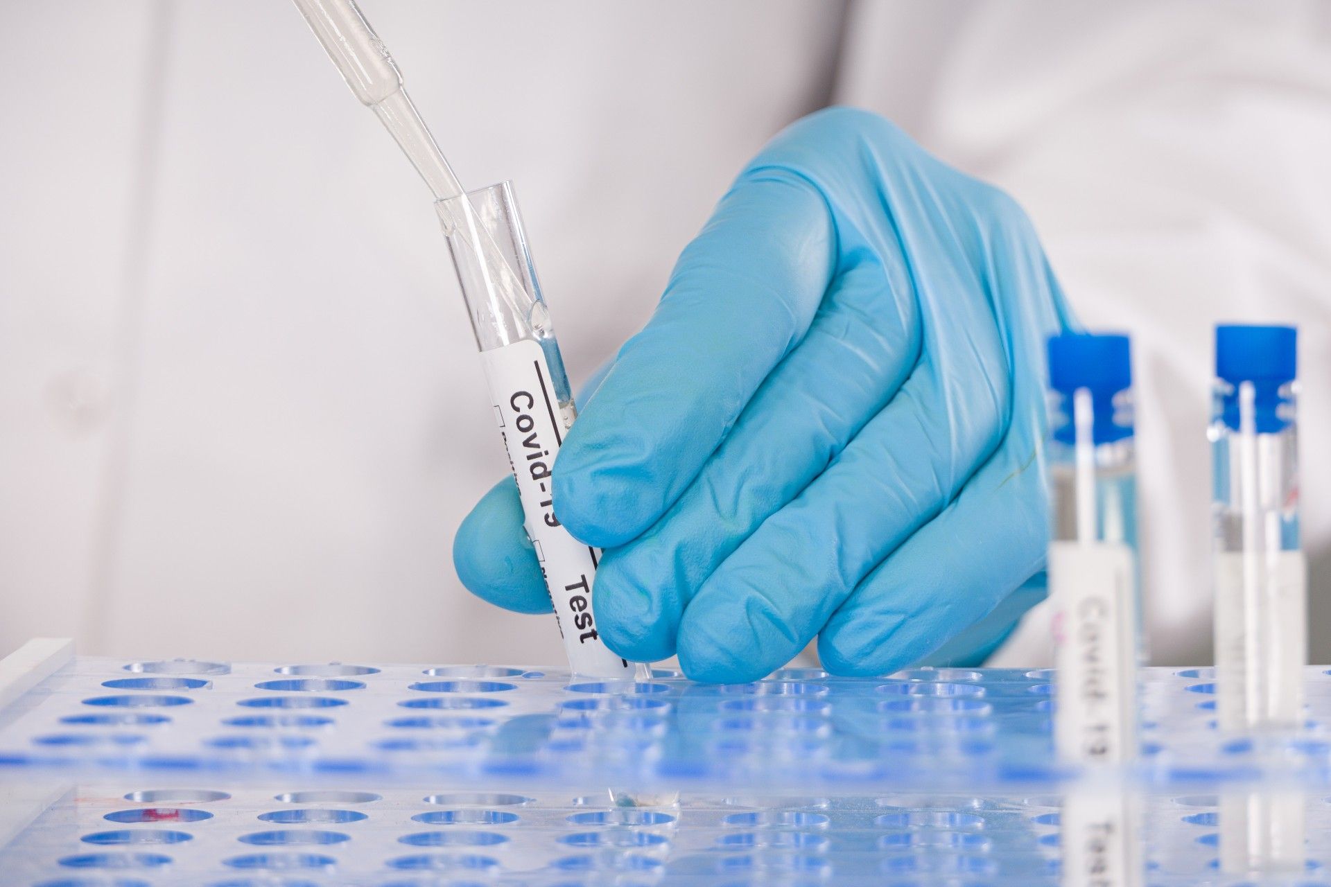 Closeup of blue-gloved hands working on a COVID-19 test in a lab - covid-19 test error