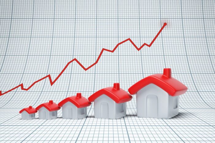 compare the market insurance