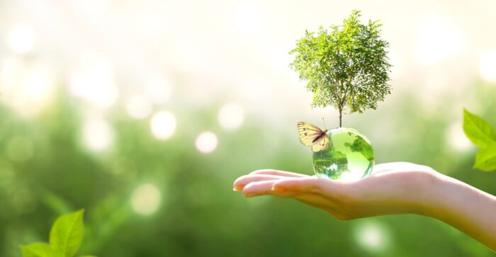 Earth crystal glass globe ball and growing tree in human hand,